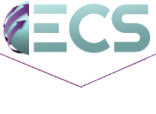 Everest Commerce Solutions Mangalore